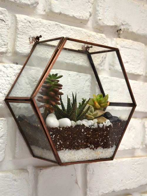 indoor unique plant shelves 4