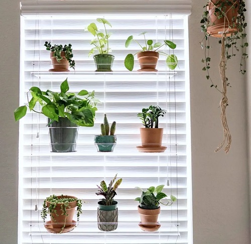 hanging shelves