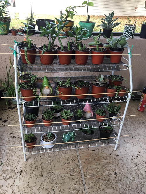 hanging shelves 3