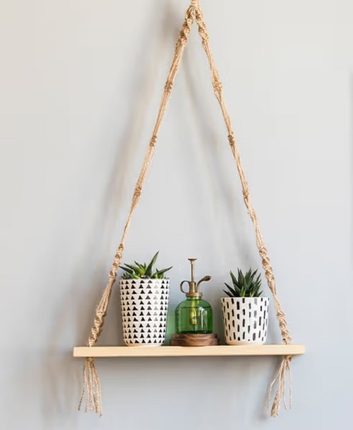 Succulent Shelves Ideas 3