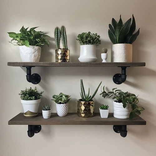 indoor plant shelf 2