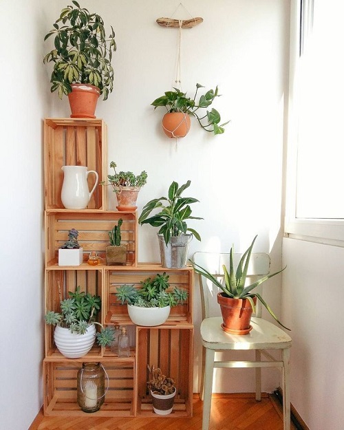 indoor plant shelf 3