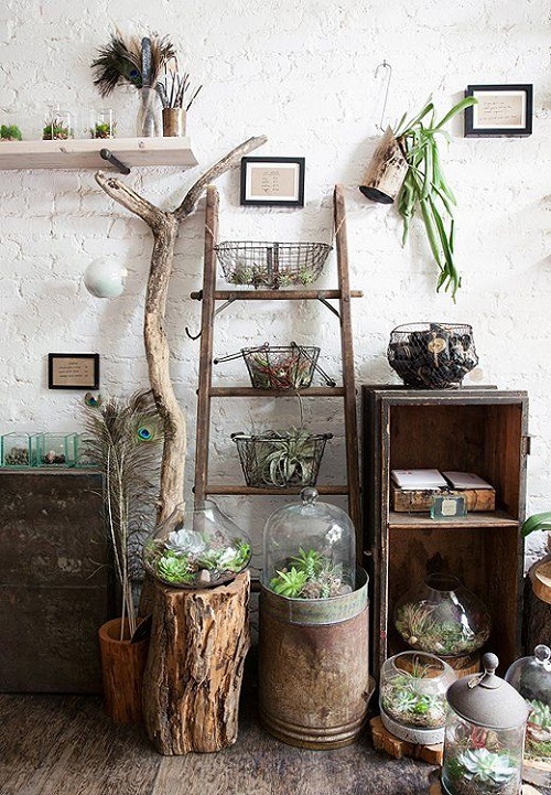 indoor unique plant shelves