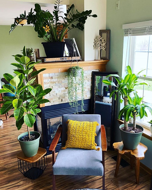 bedroom plants