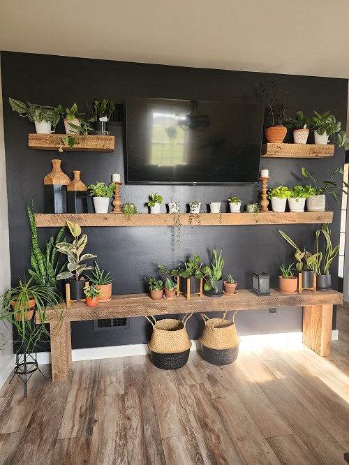 succulent wall