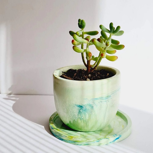 ceramic pot