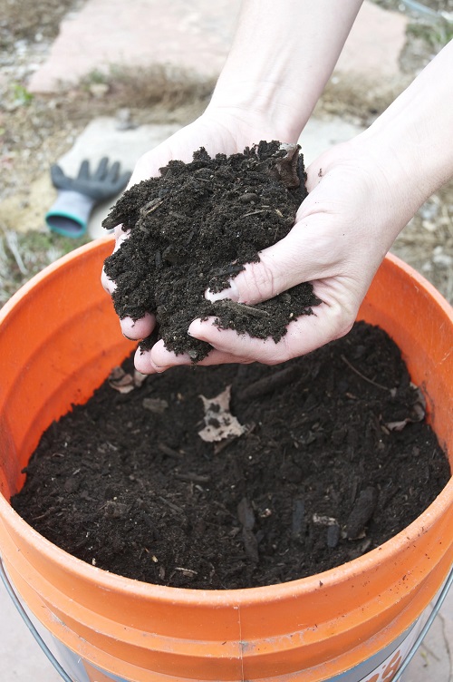 Organic Plant Food