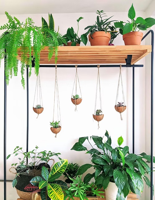 DIY Hanging Coconut Shell Planters 3