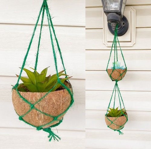 Coconut Shell Planters