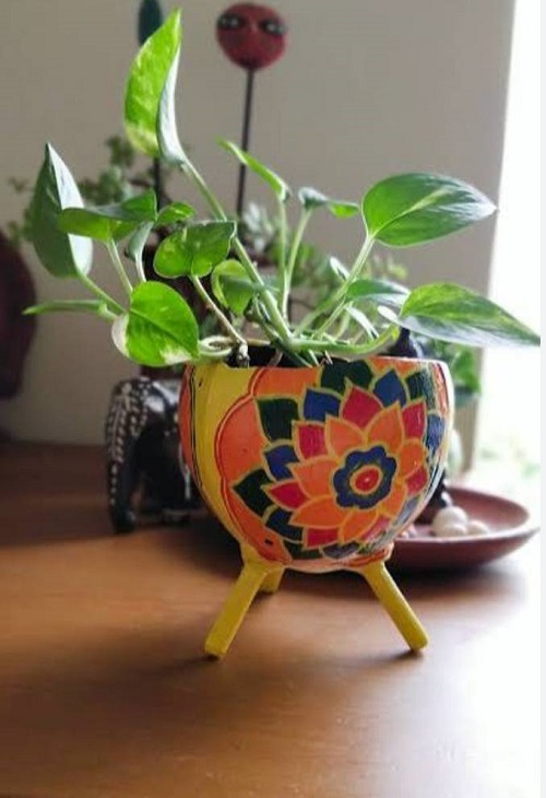 Coconut Shell Planters 3
