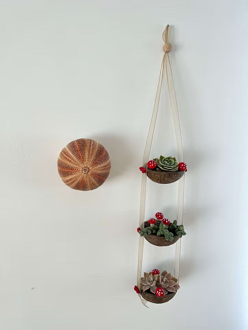 unique Coconut Shell Planters