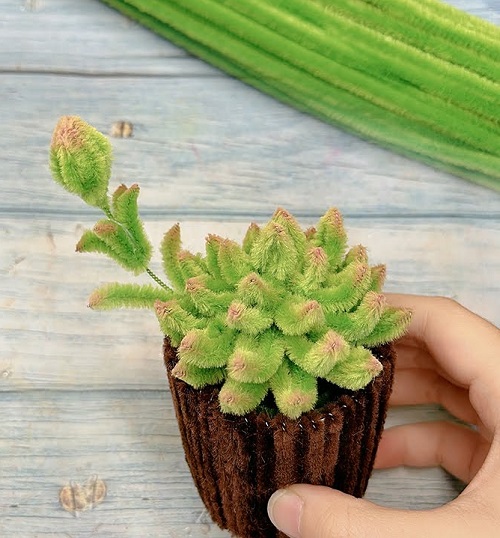 Pipe Cleaner Succulents DIY