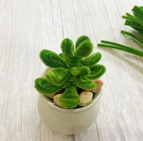 Pipe Cleaner Succulents DIY 3