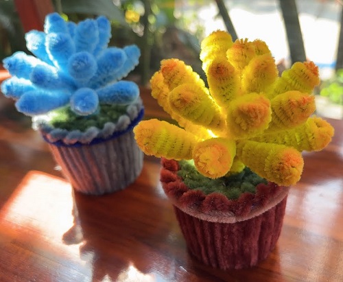 beautiful Pipe Cleaner Succulents 2