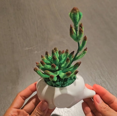 easy to make Pipe Cleaner Succulents