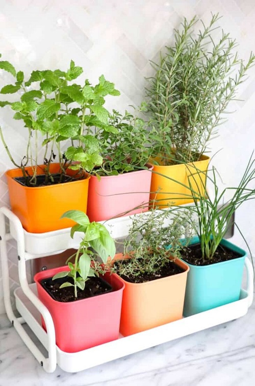 DIY Indoor Herb Garden 1