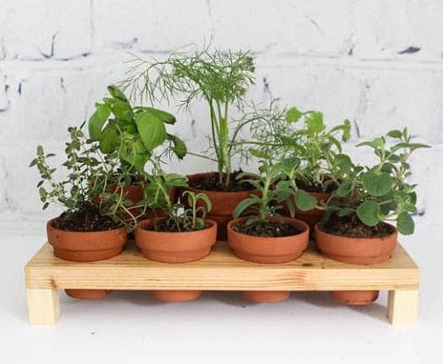 hanging herb garden 3