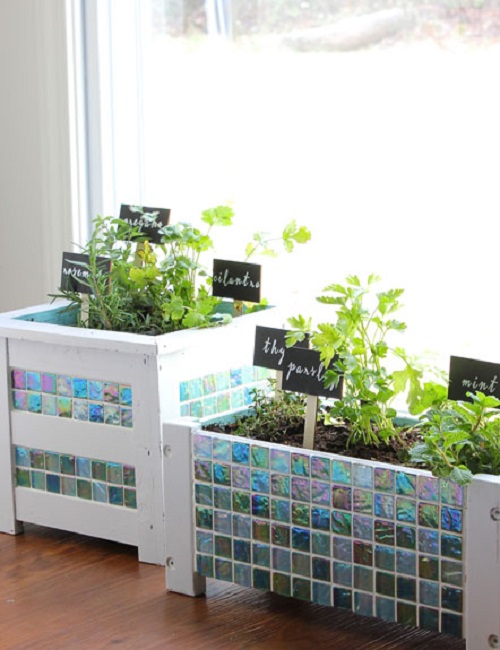 herb garden 3