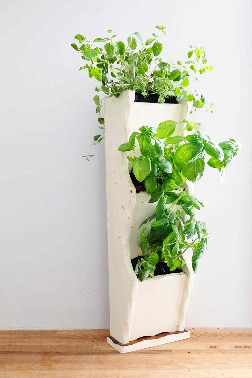 herb garden 4