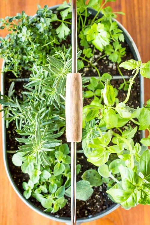 DIY Indoor Herb Garden 3