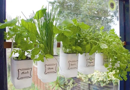 outdoor Herb Garden 3