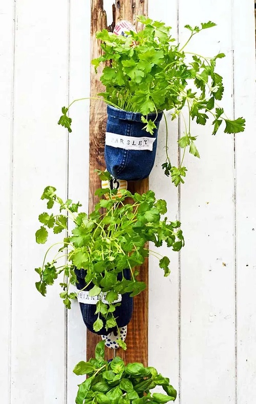 outdoor Herb Garden 4