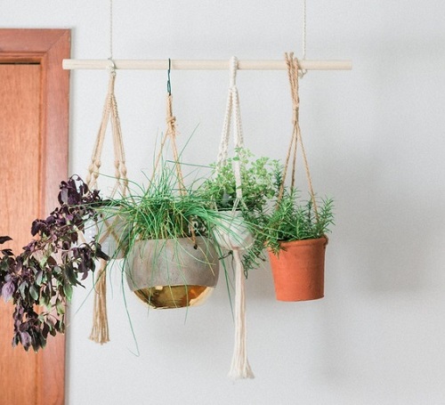 hanging herb garden