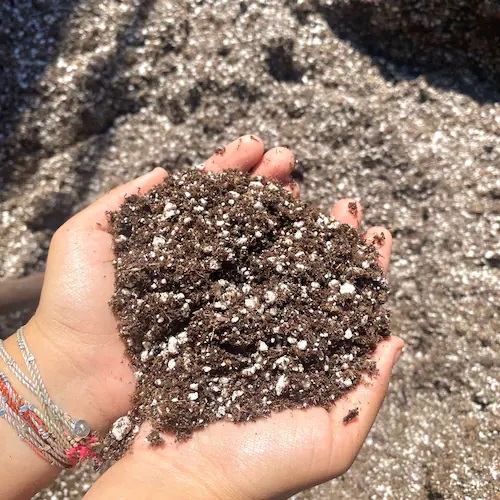 Gardening Soil