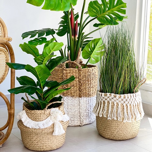 woven baskets planter