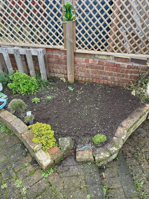 space for Chaos Garden