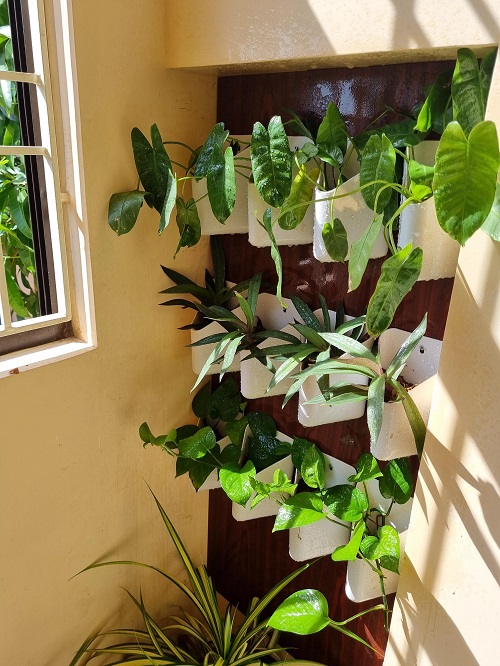 Corner Vertical Garden