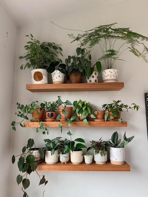 Indoor Plant Wall Ideas