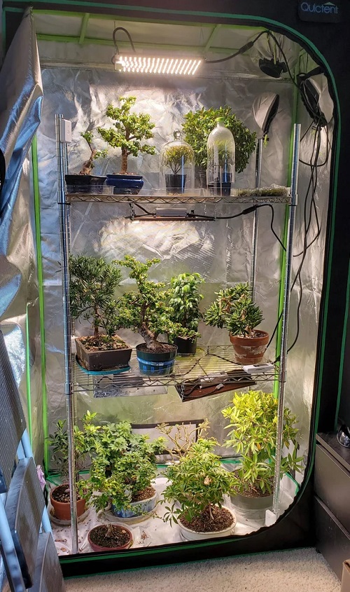 Grow Tents 