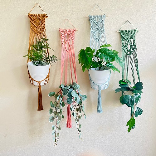 Hanging Macrame Plant Display