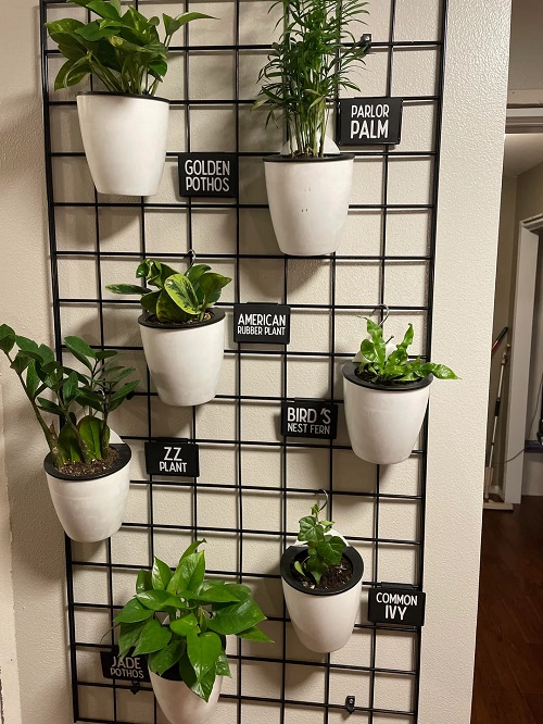 Metal Grid Plant Wall