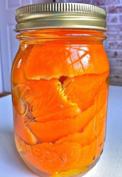 Can Orange Peel Water Help Christmas Cactus Bloom