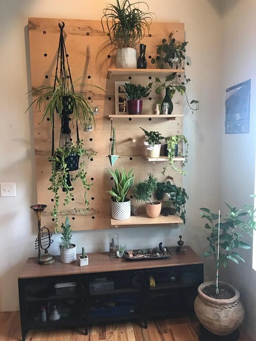Pegboard Plant Wall