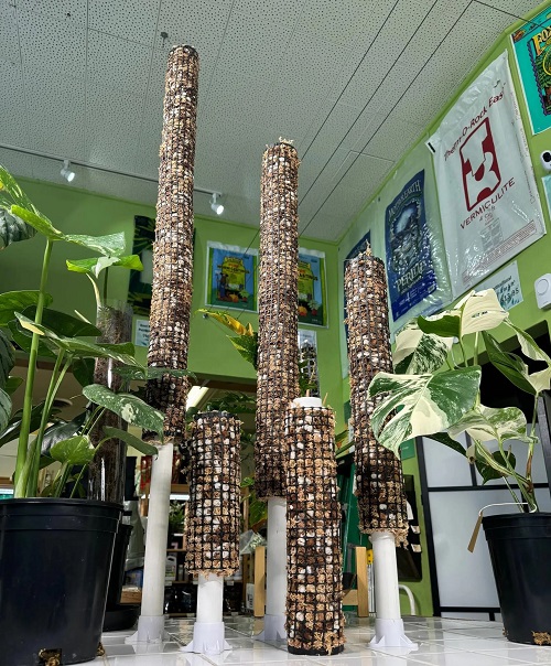 Plant Accessories