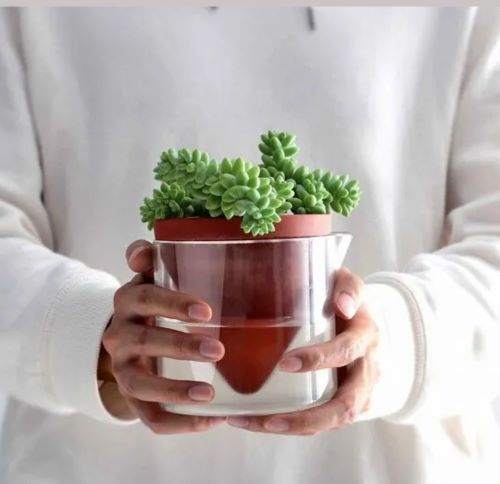 Self watering planters 
