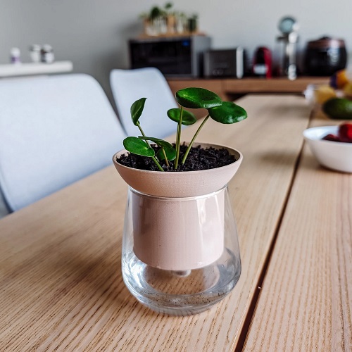 Self watering planters 