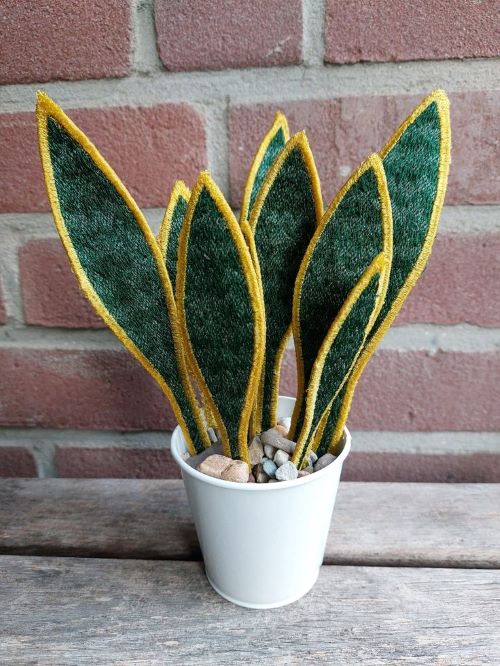 Make a Succulent Applique