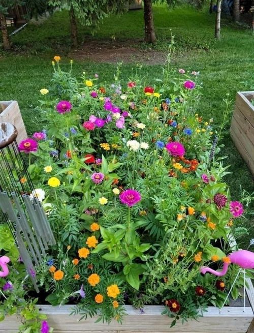 flower bed