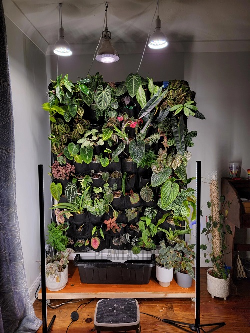Grow Lights and Electricity