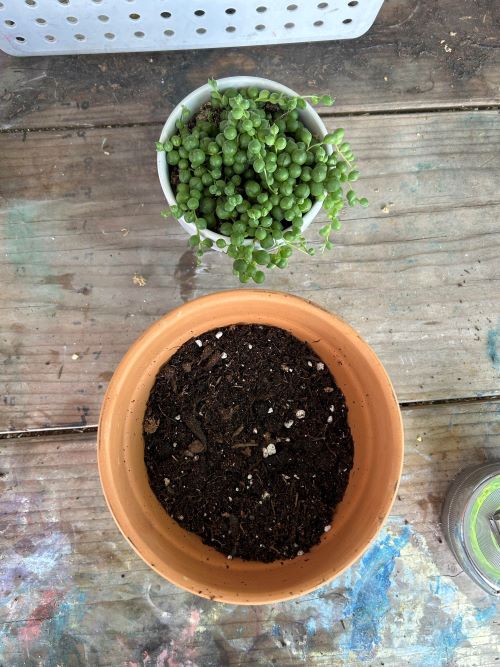 well drainage potting mix