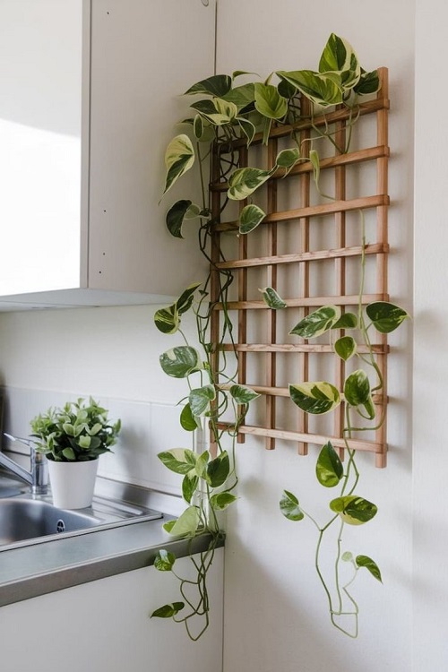 Wooden Trellis