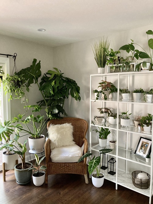 Fancy and Attractive Planters