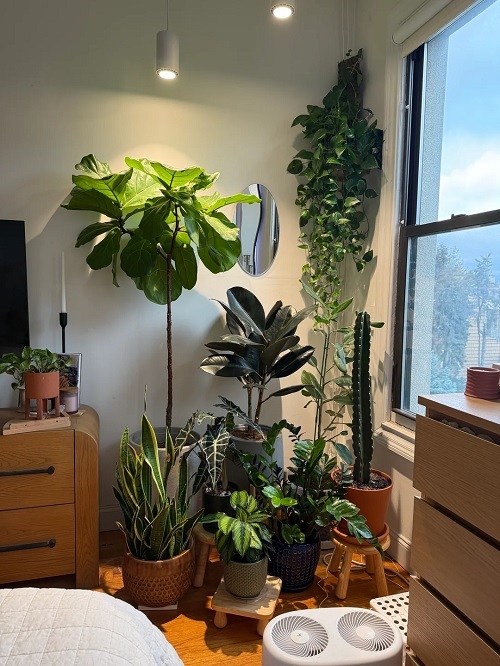 Plant Corner Styling