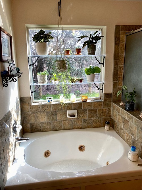 Bathroom Glass plant Shelves