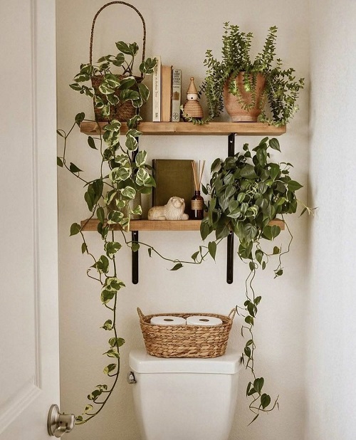 Bathroom Plant Shelf Ideas