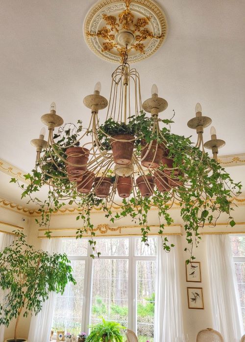 Botanical Chandeliers